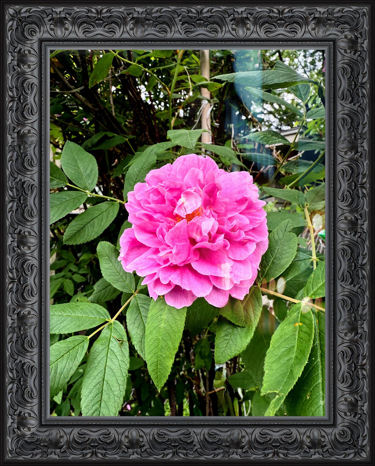 Impression de cadre personnalisé