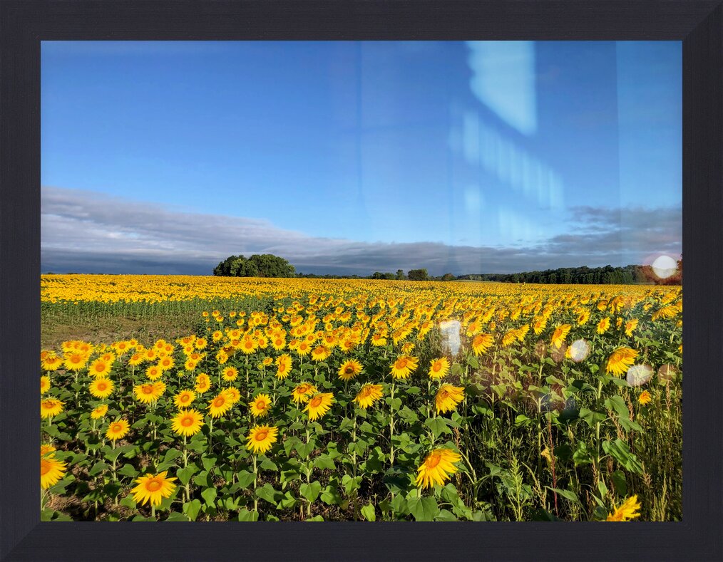 Impression de cadre personnalisé