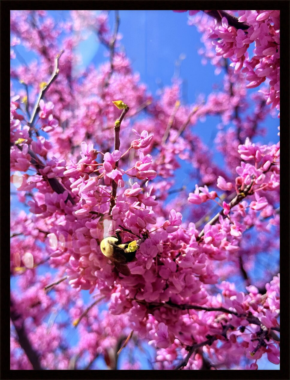 Impression de cadre personnalisé