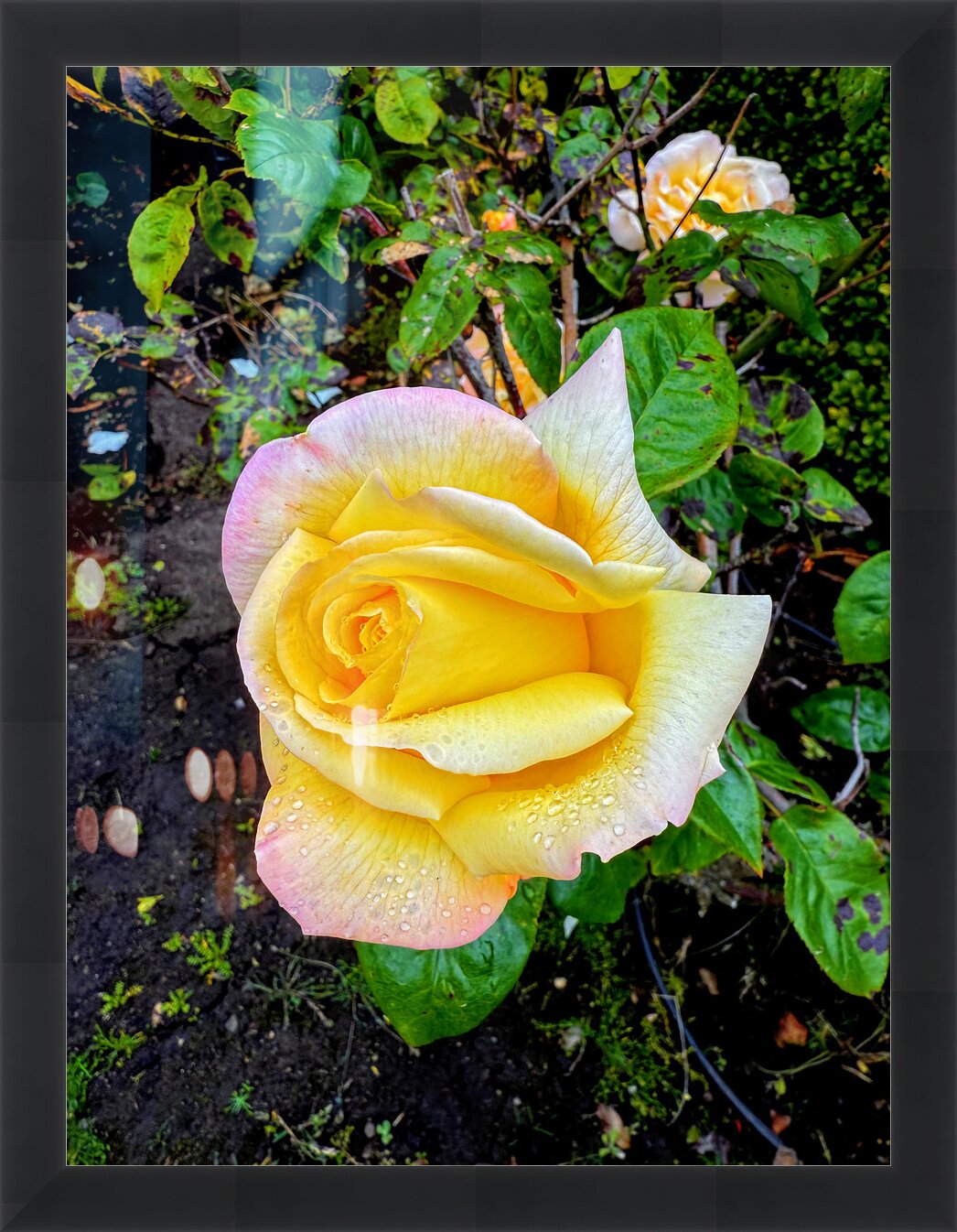 Impression de cadre personnalisé