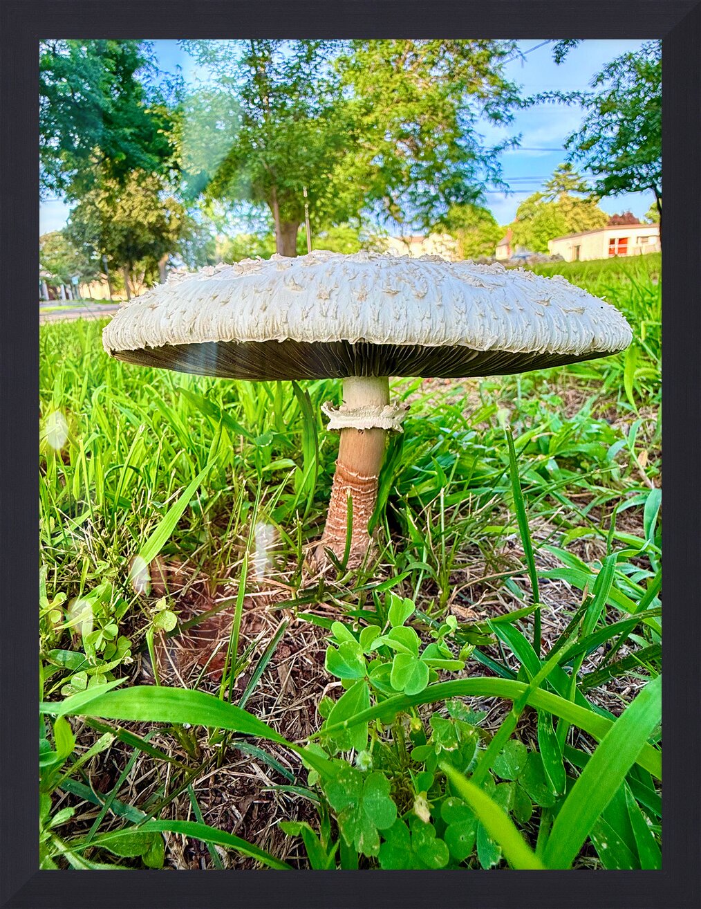 Impression de cadre personnalisé