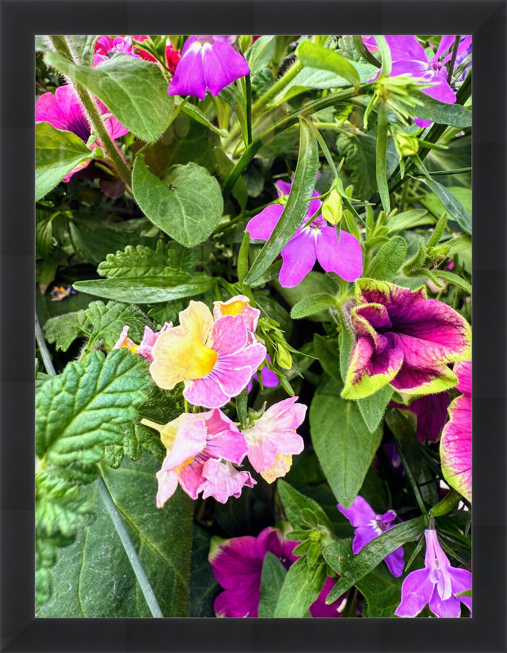 Impression de cadre personnalisé