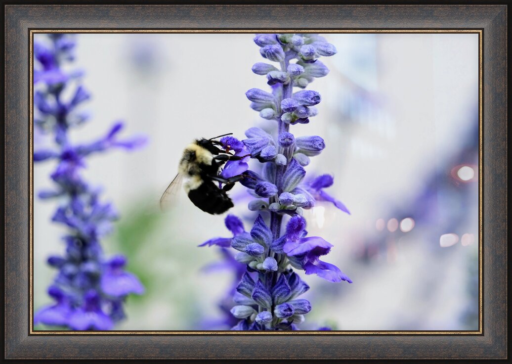 Impression de cadre personnalisé