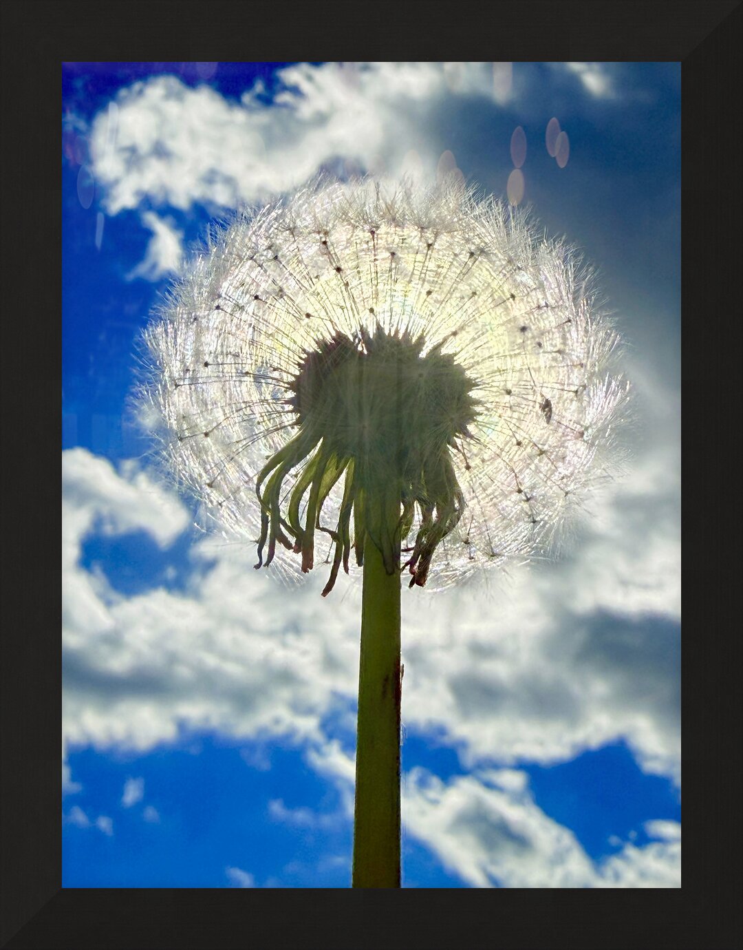 Impression de cadre personnalisé