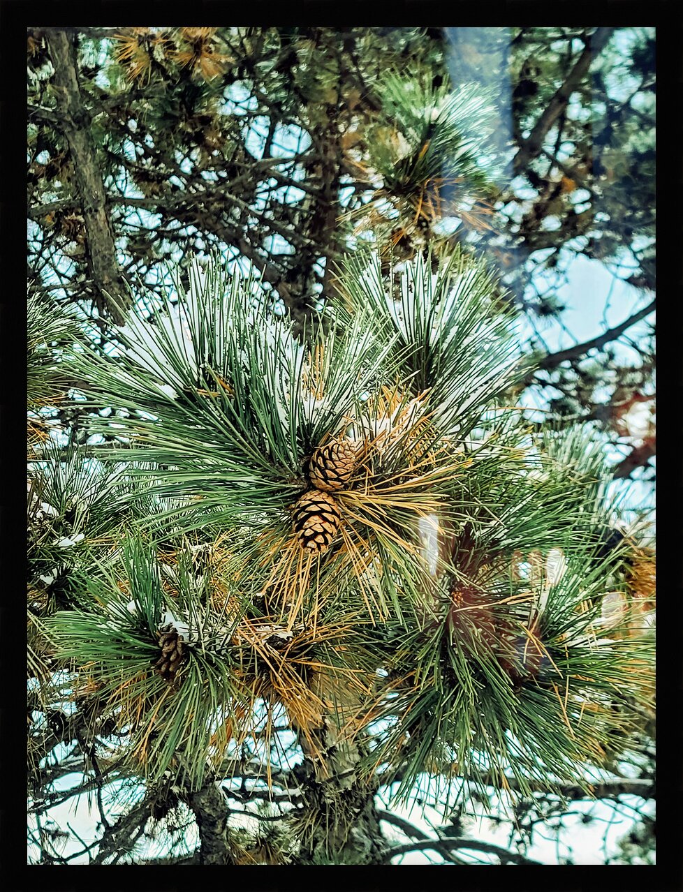 Impression de cadre personnalisé