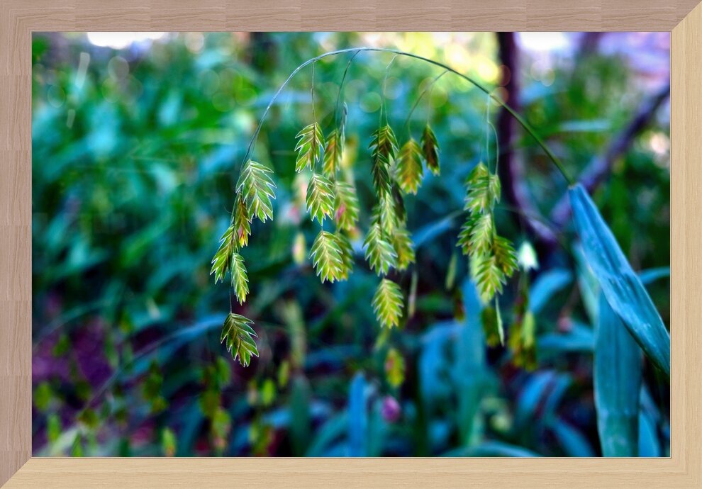 Impression de cadre personnalisé