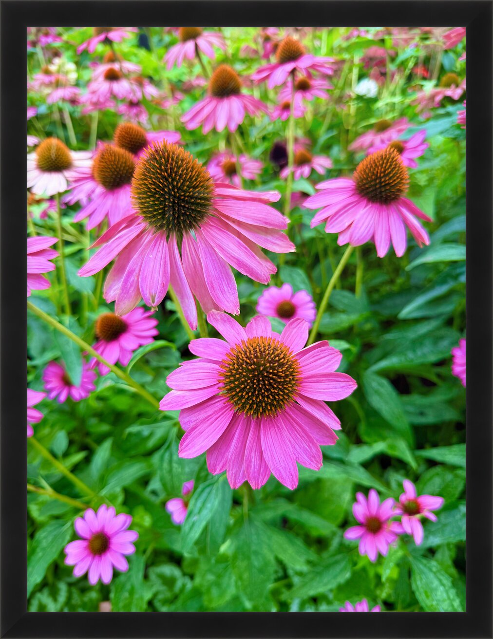 Impression de cadre personnalisé