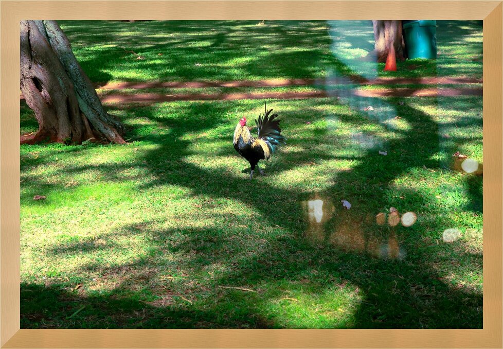 Impression de cadre personnalisé