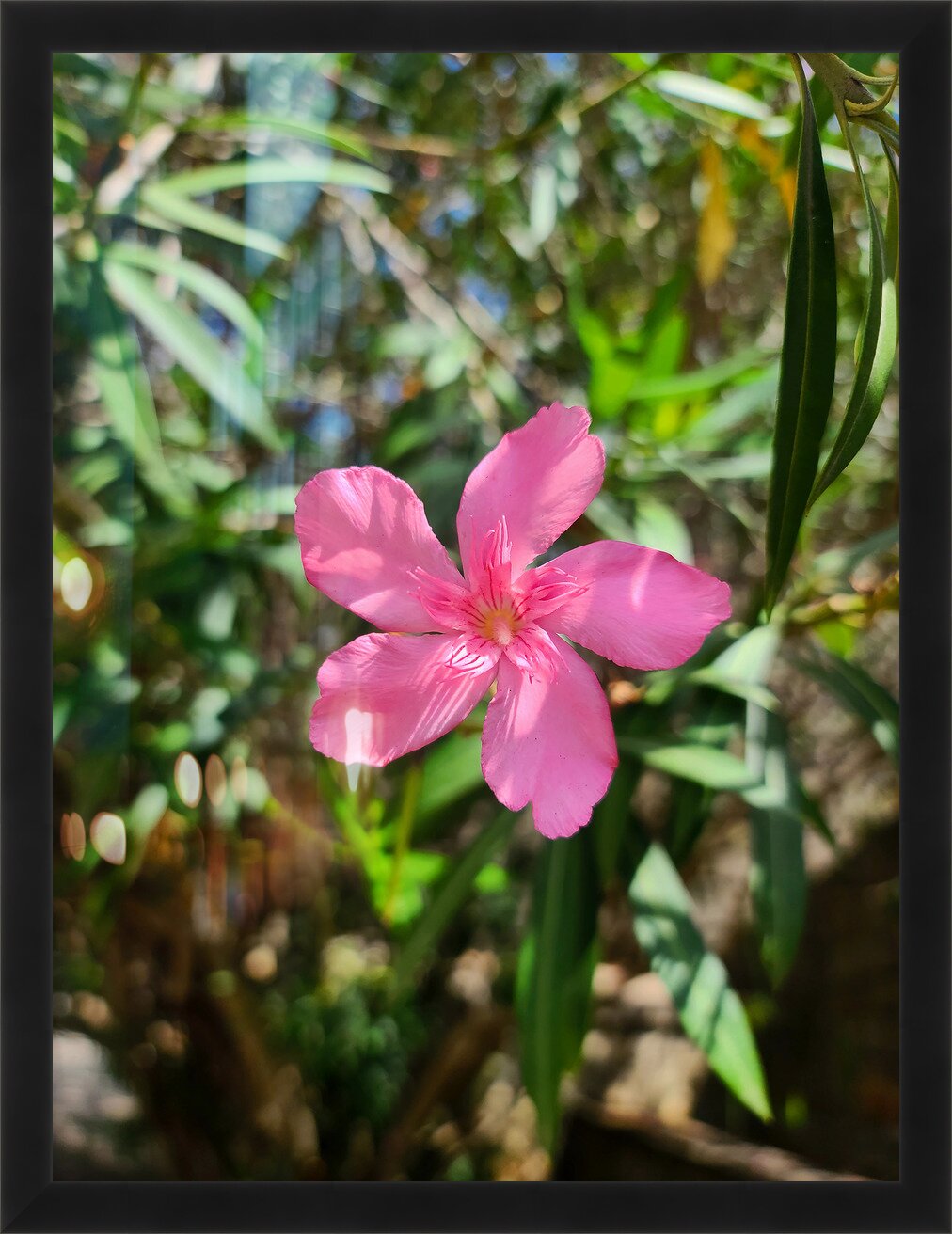 Impression de cadre personnalisé