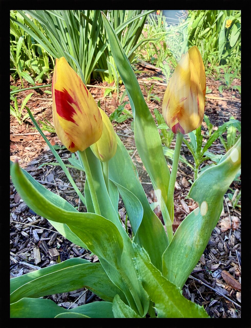 Impression de cadre personnalisé