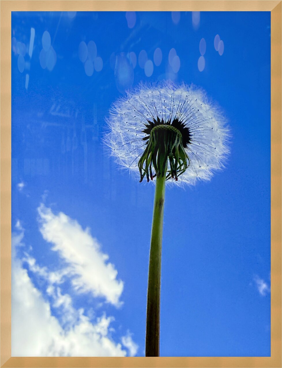 Impression de cadre personnalisé