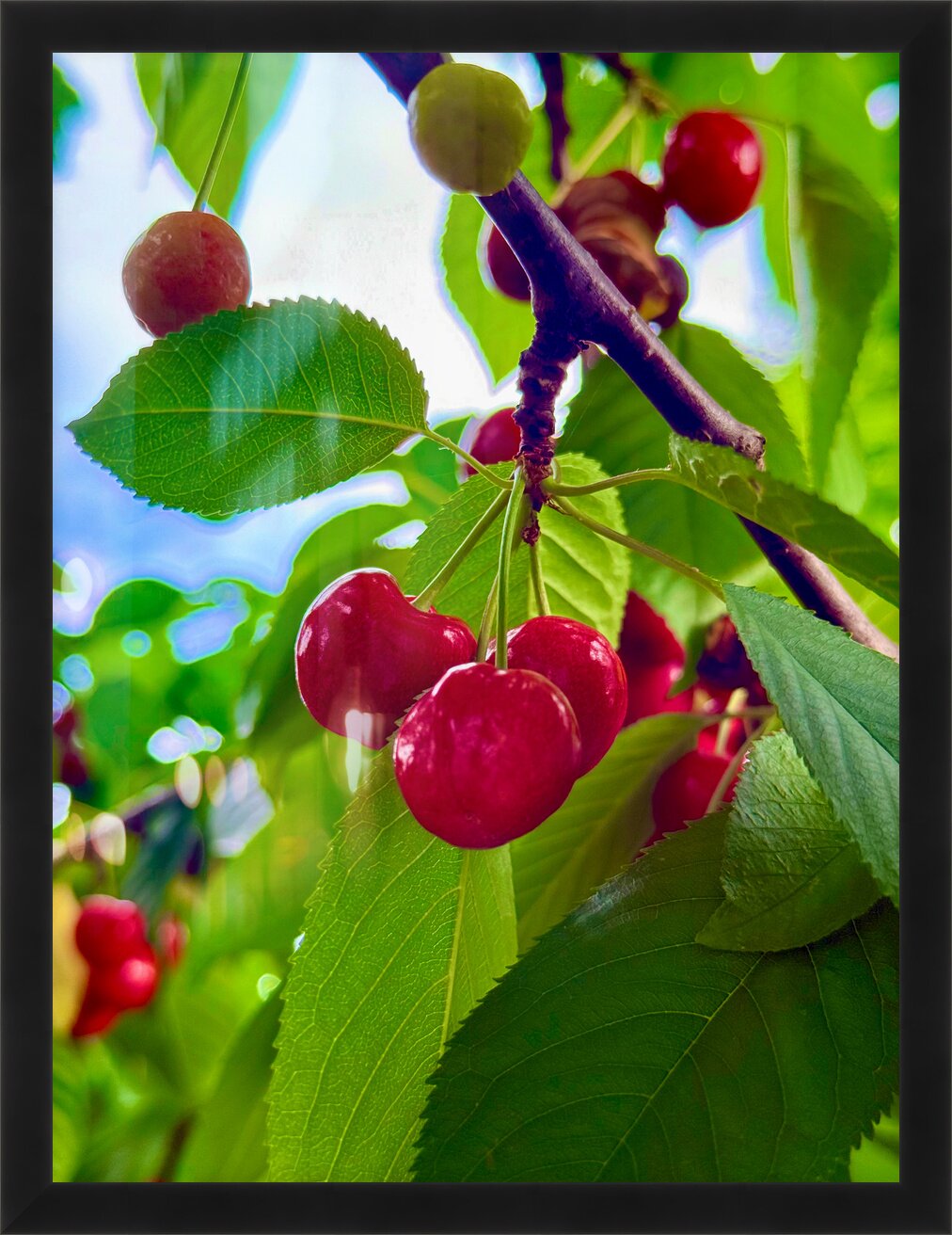 Impression de cadre personnalisé