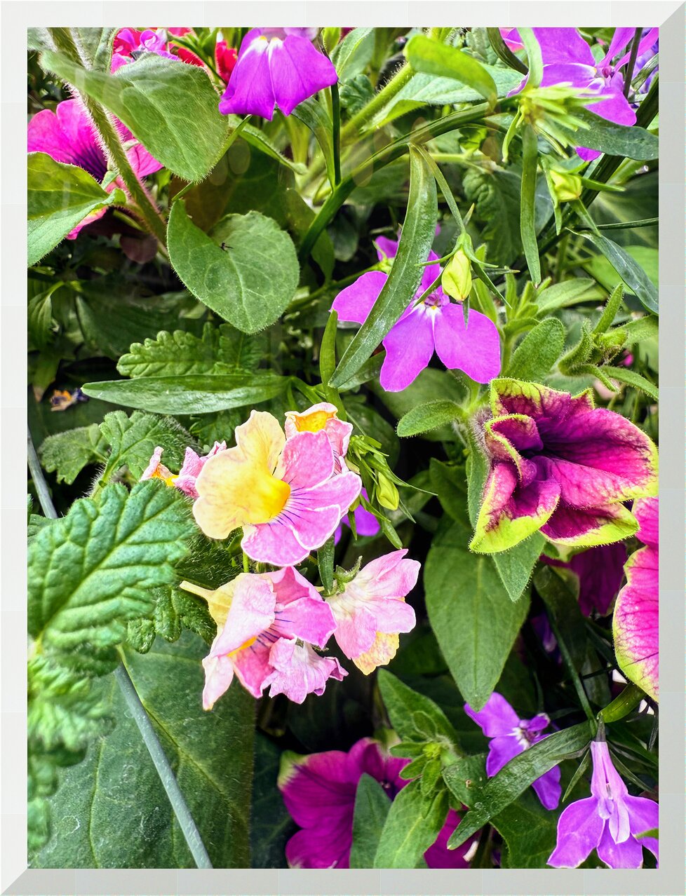 Impression de cadre personnalisé