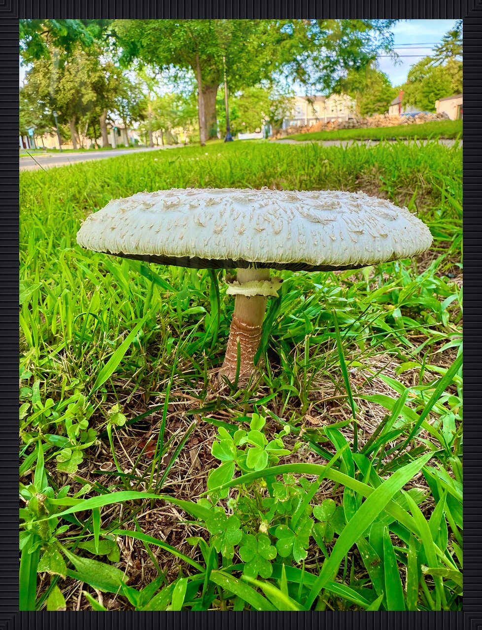 Impression de cadre personnalisé