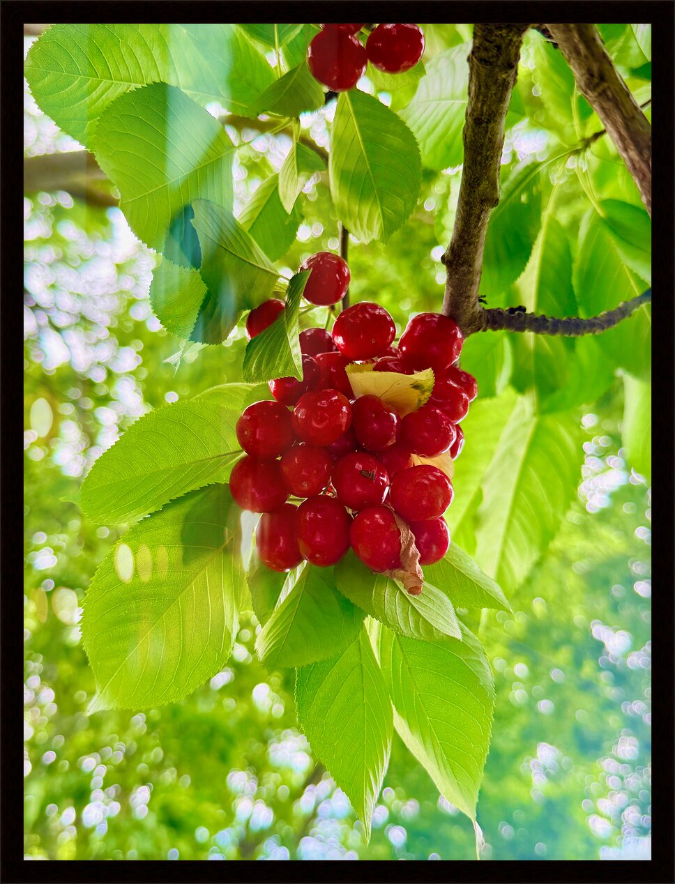 Impression de cadre personnalisé