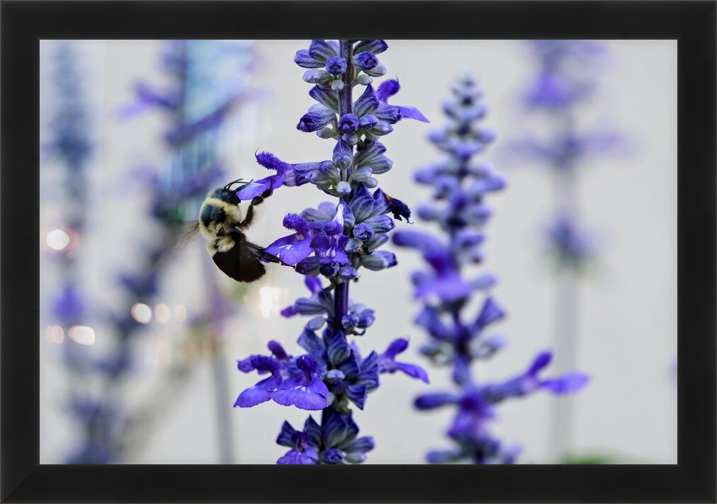 Impression de cadre personnalisé