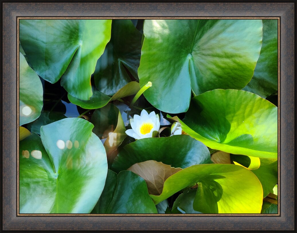 Impression de cadre personnalisé