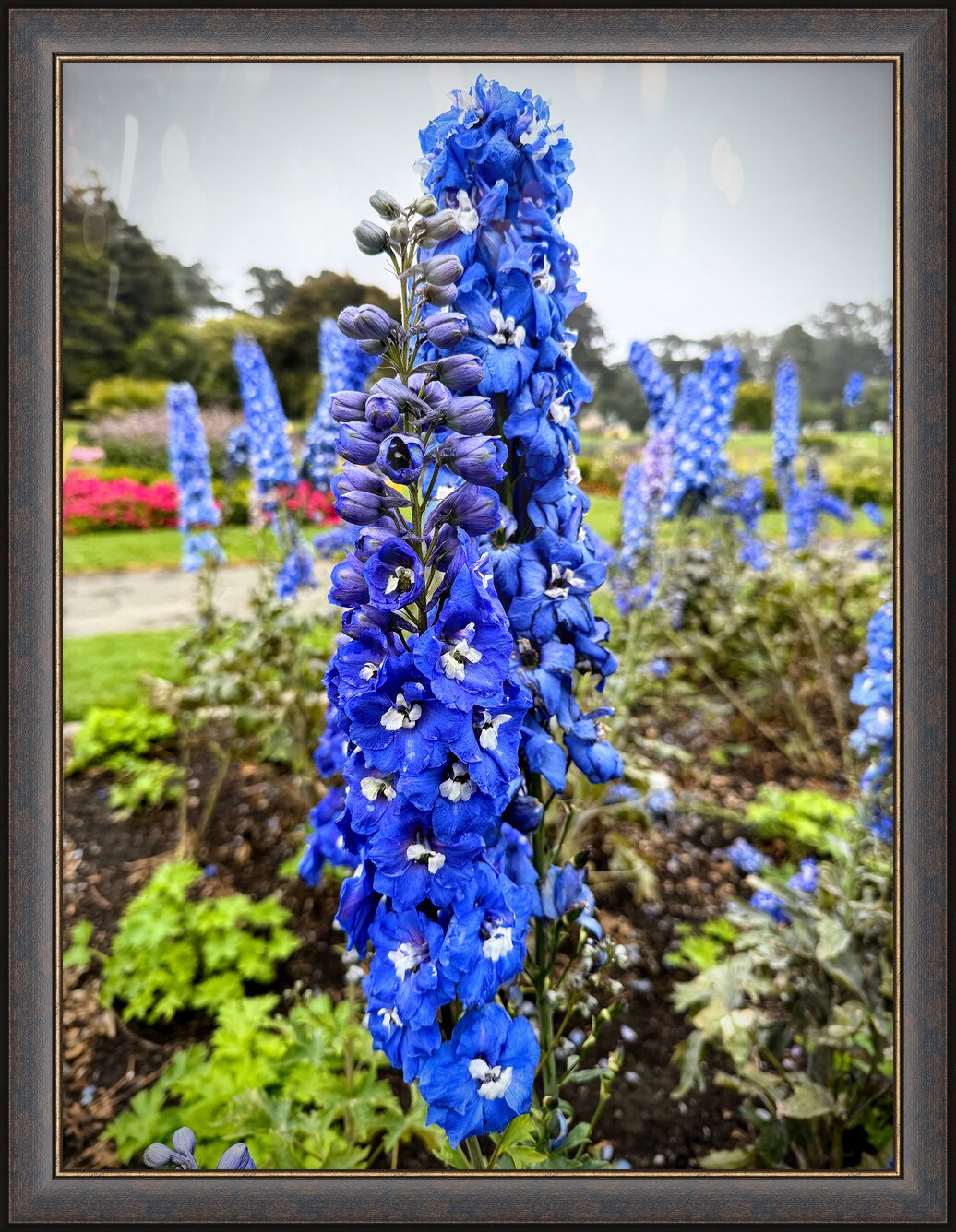 Impression de cadre personnalisé