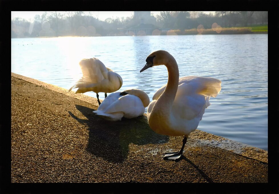 Impression de cadre personnalisé