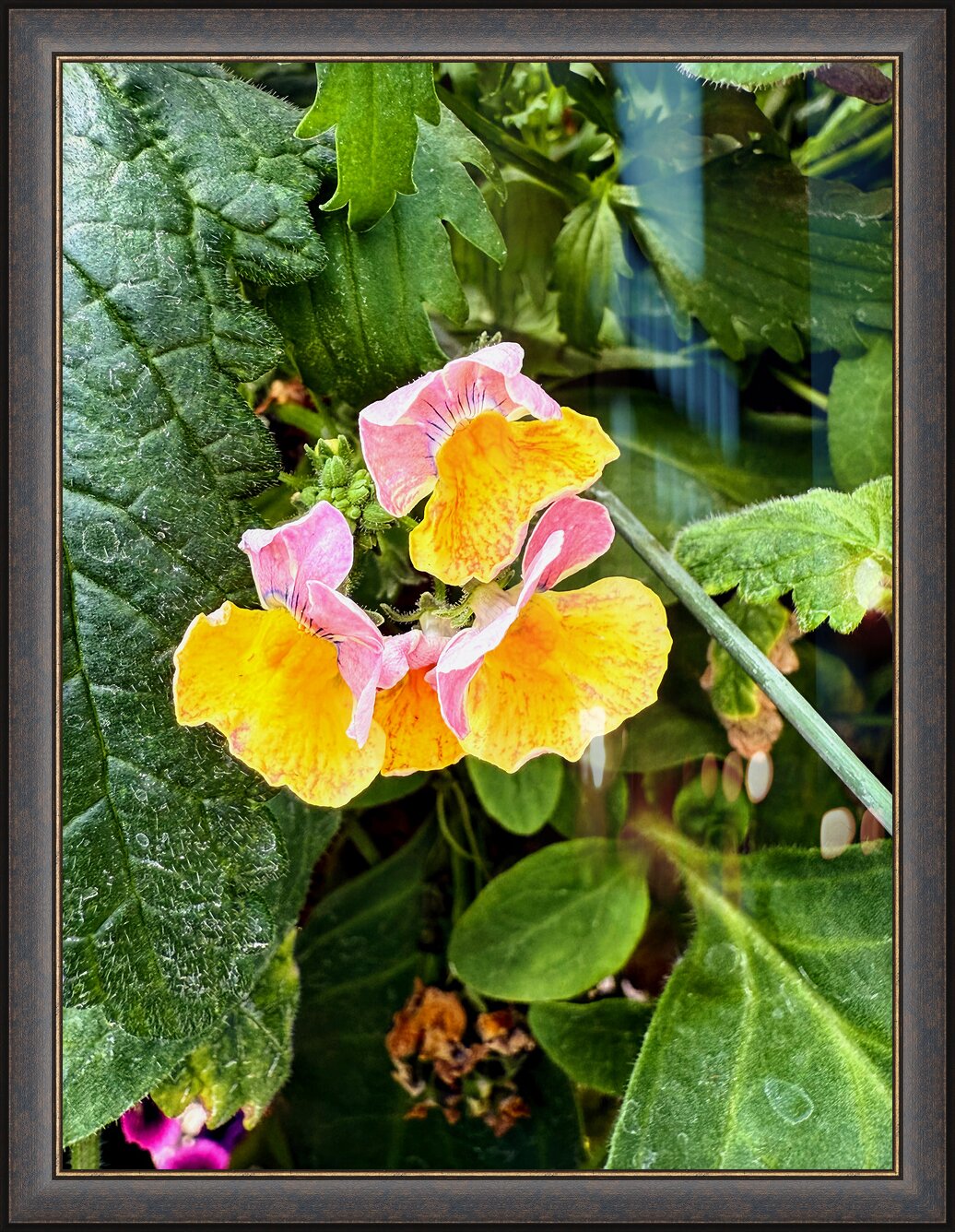 Impression de cadre personnalisé