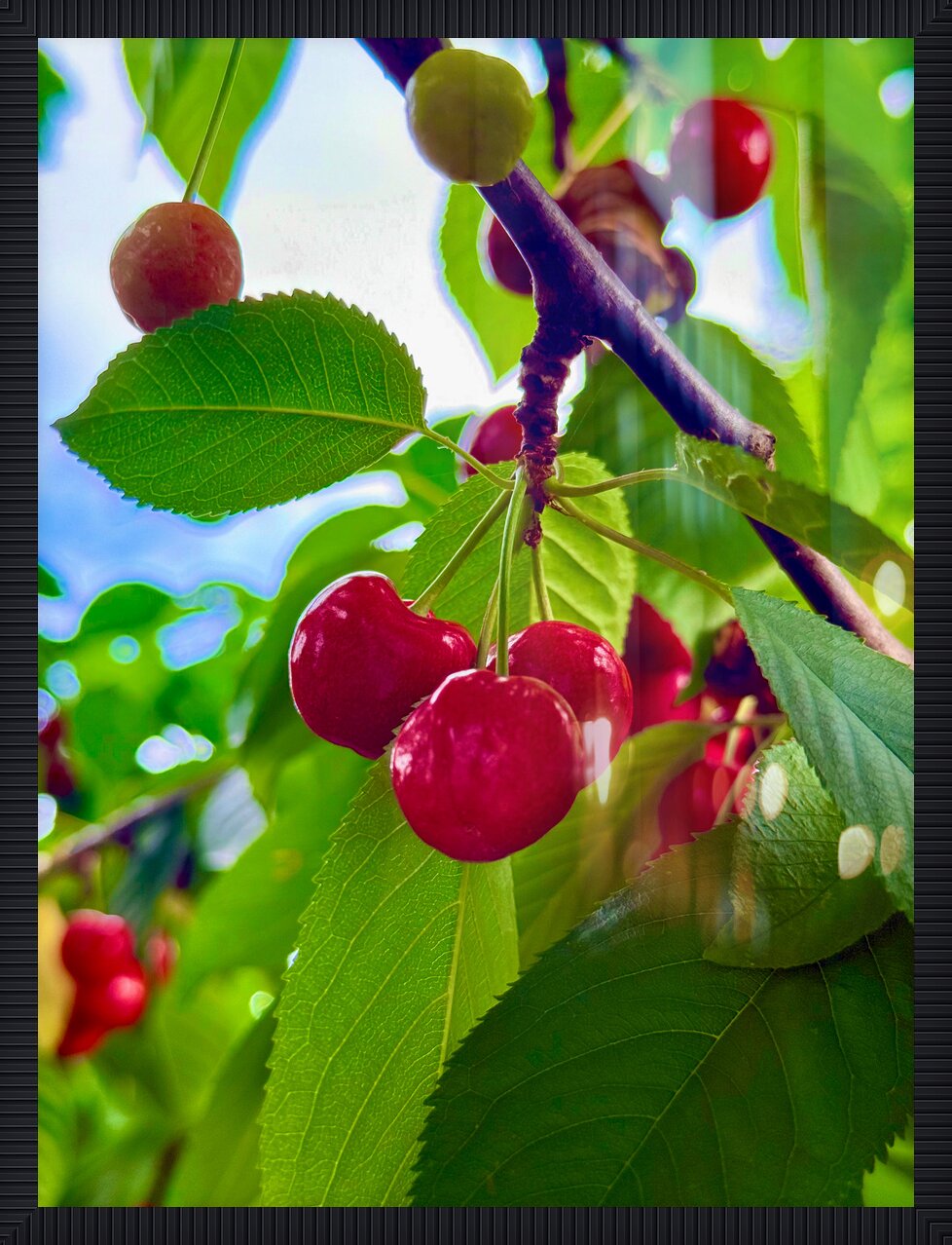 Impression de cadre personnalisé