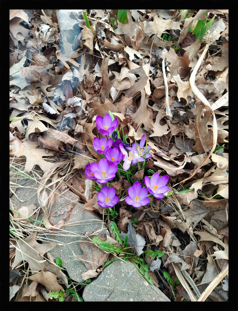 Impression de cadre personnalisé