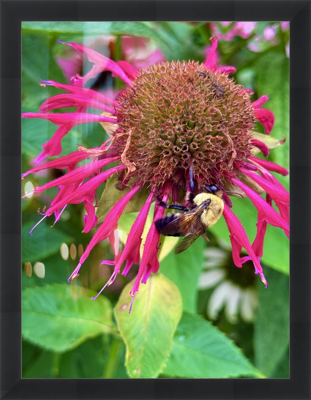 Impression de cadre personnalisé