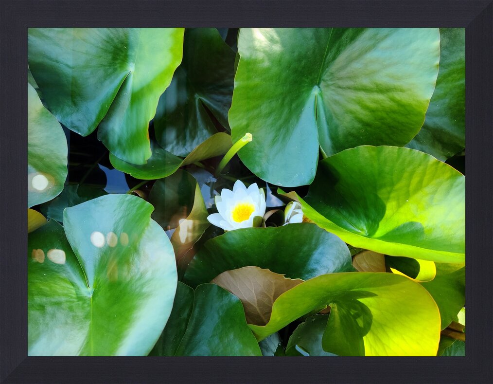 Impression de cadre personnalisé