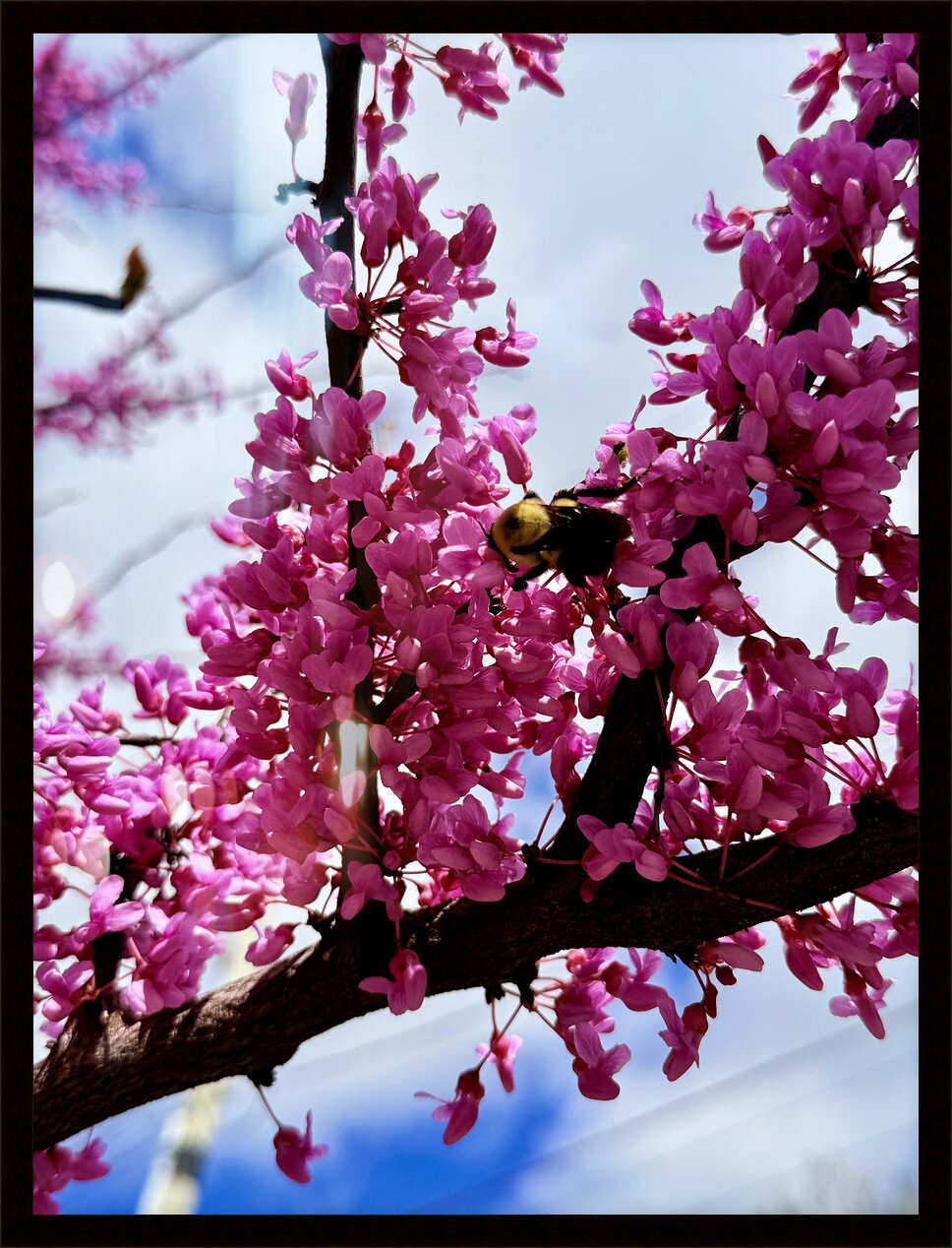 Impression de cadre personnalisé