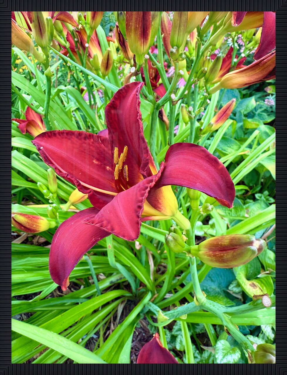 Impression de cadre personnalisé