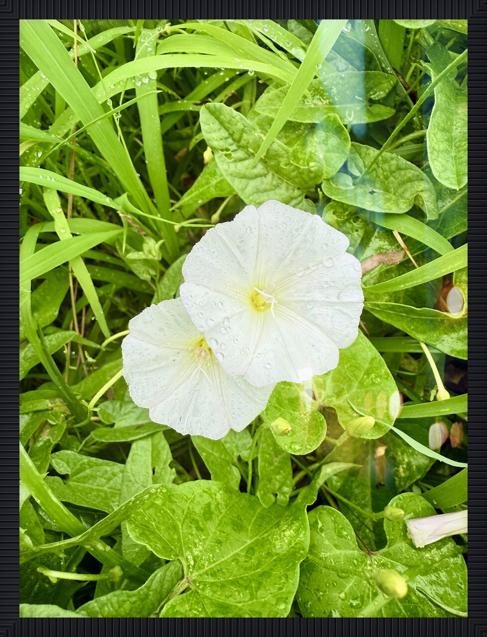 Impression de cadre personnalisé