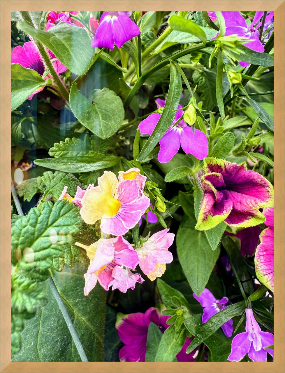 Impression de cadre personnalisé