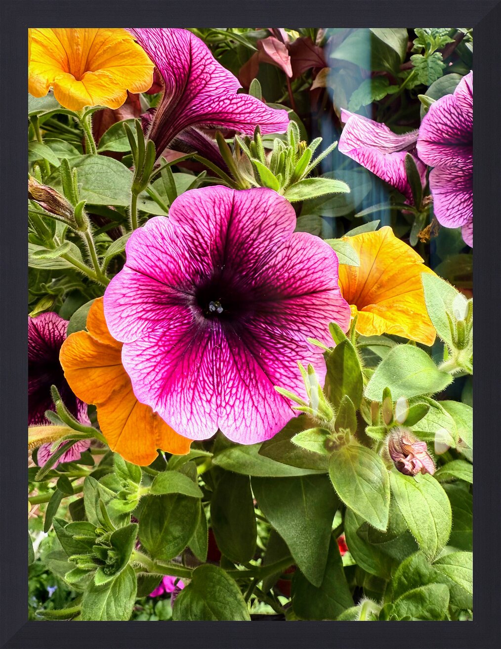 Impression de cadre personnalisé