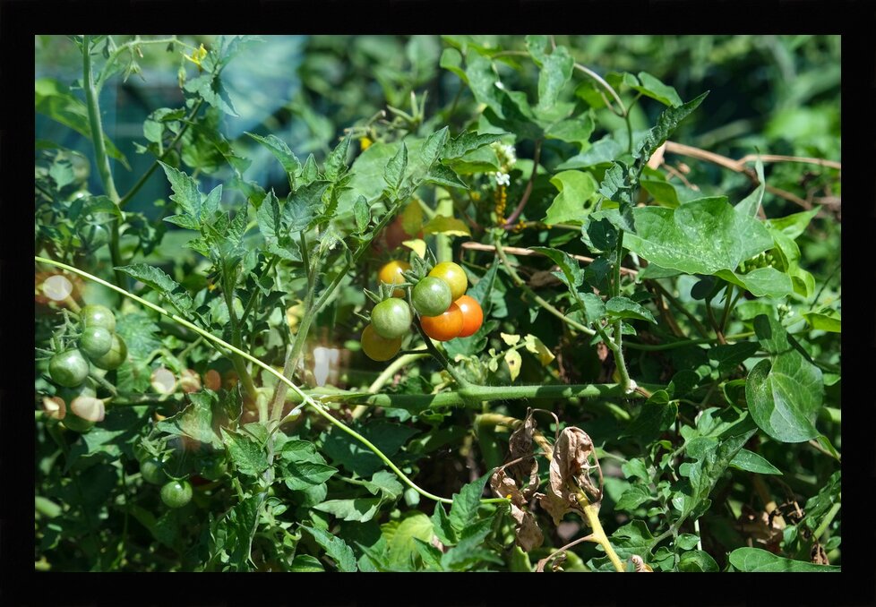 Impression de cadre personnalisé