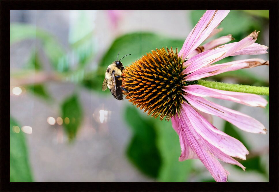 Impression de cadre personnalisé