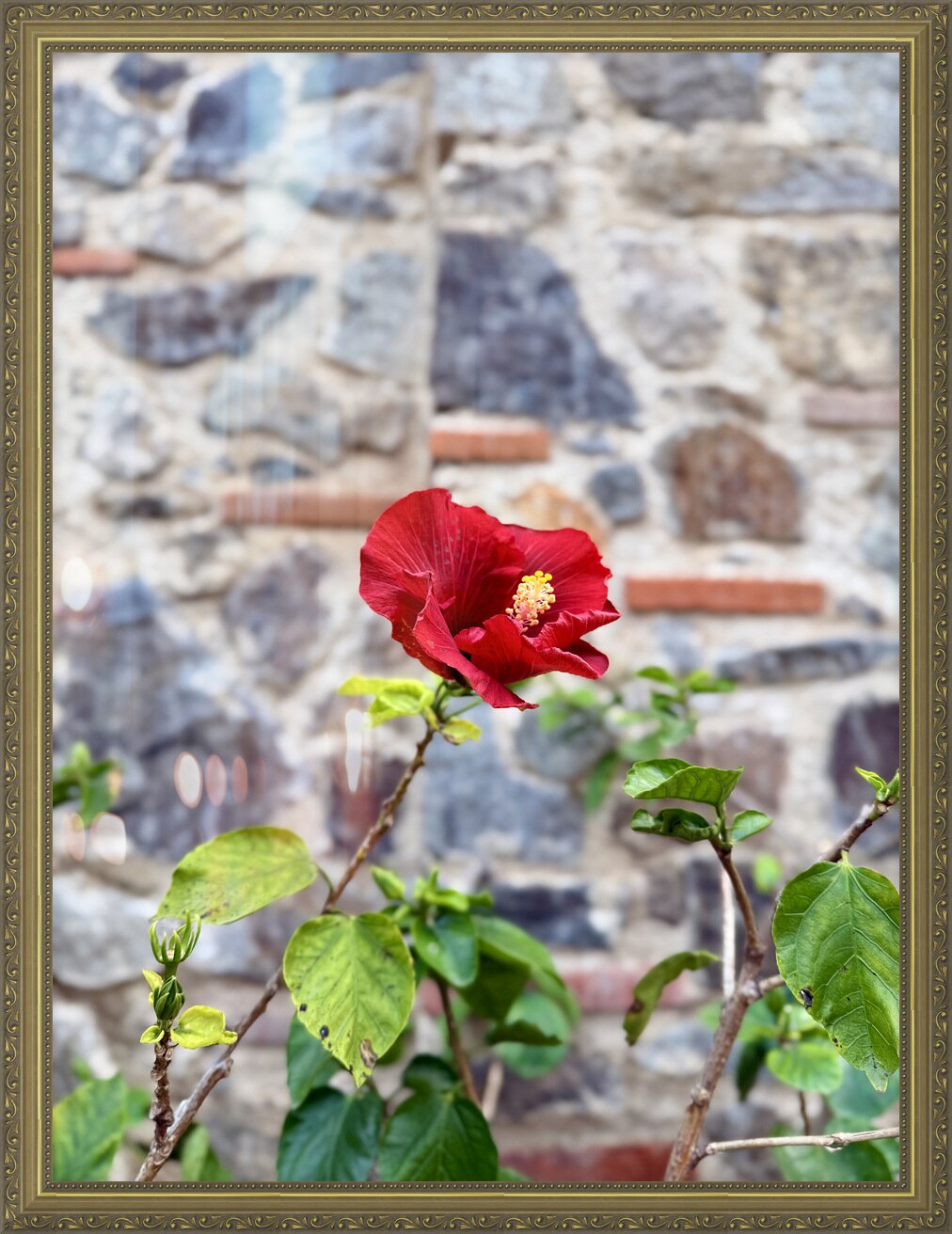 Impression de cadre personnalisé