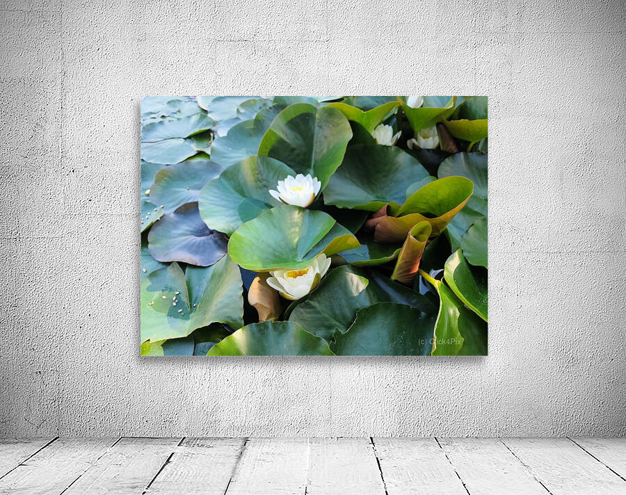 The Secret Life of Lilies Wall Preview