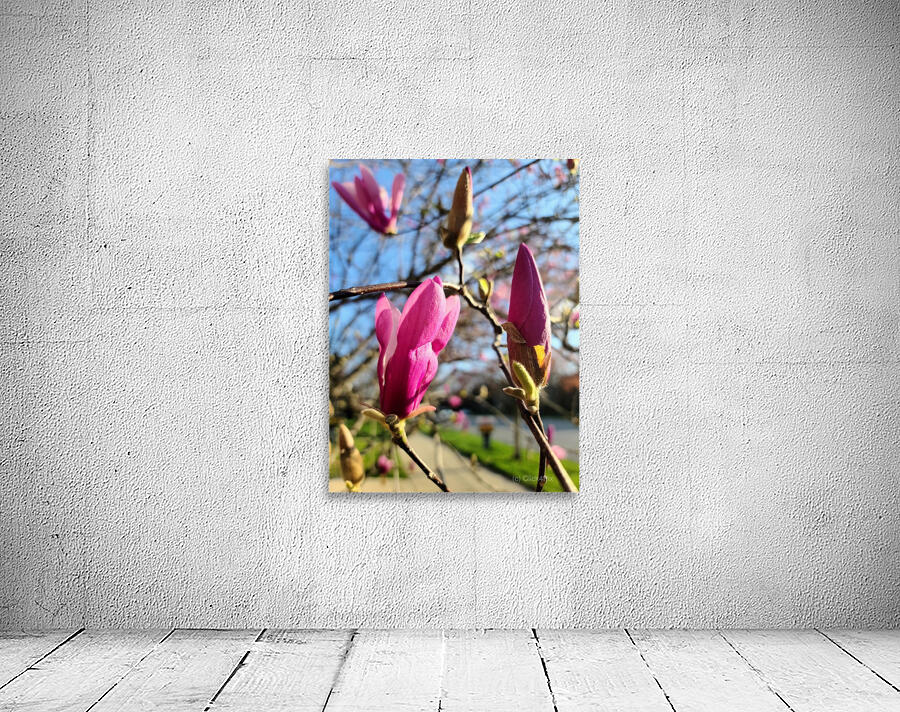 Buds of Hope and the Promise of Spring Wall Preview