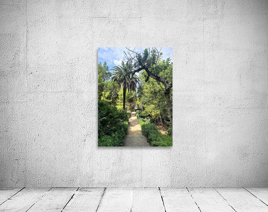 Path to the Palms Wall Preview