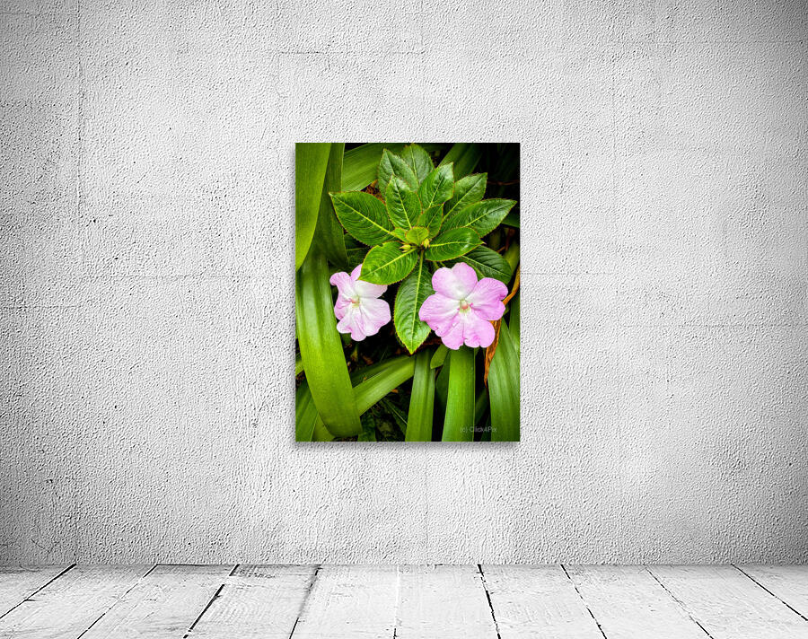 Twin Beauty & Symmetry Wall Preview