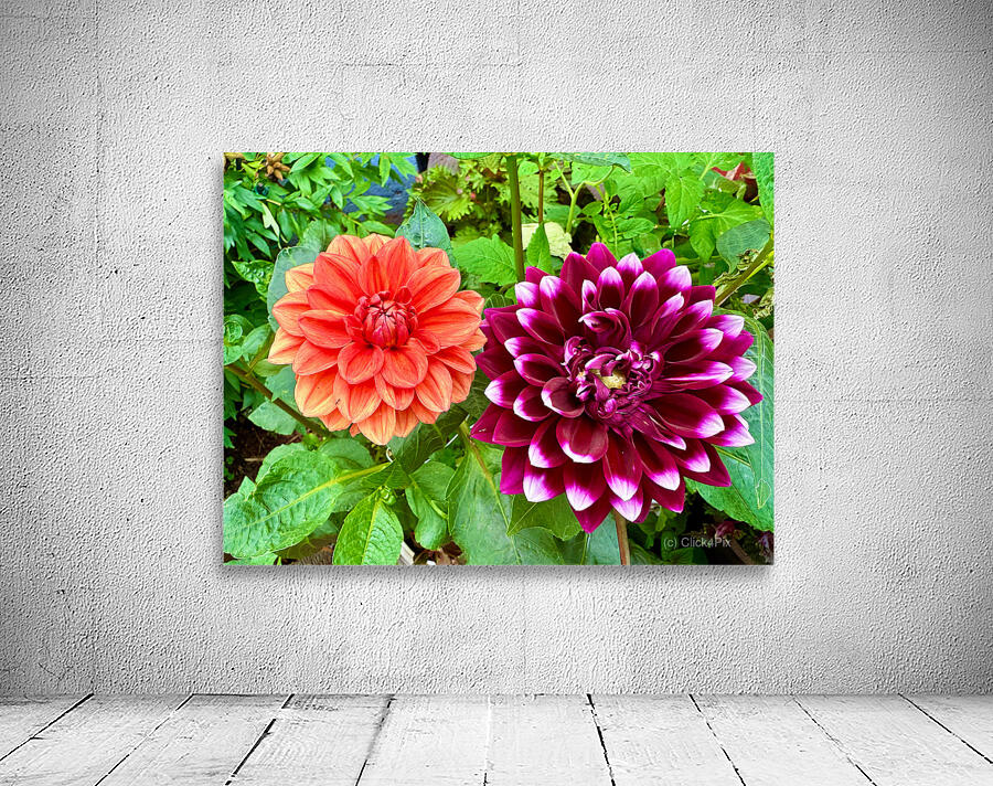 Harmony Blooms: When Opposites Flower Together Wall Preview