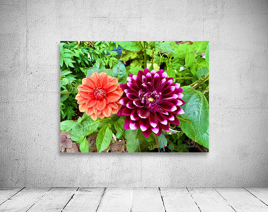 Nature’s Take on Balance and Beauty Wall Preview