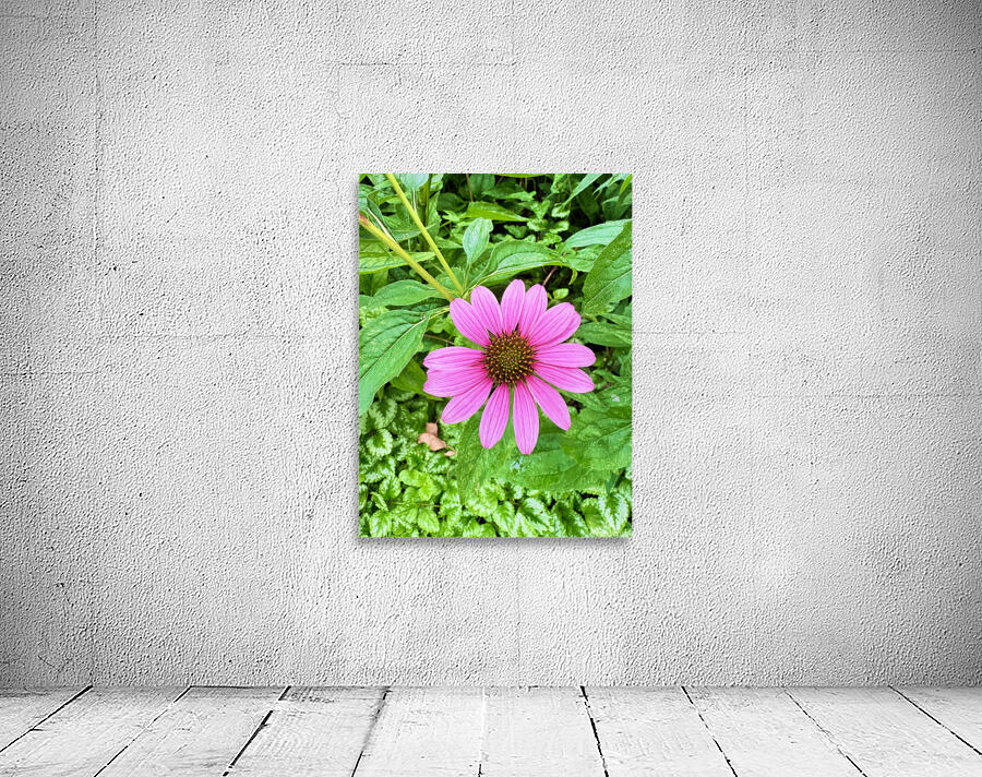 Heart of Summer Wall Preview