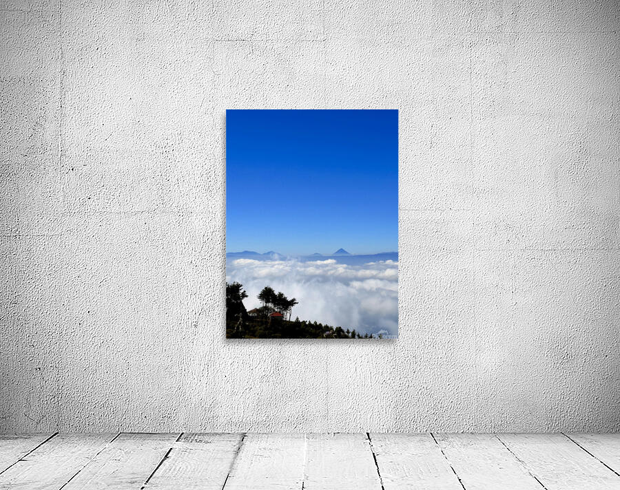 IMG 9130 Wall Preview