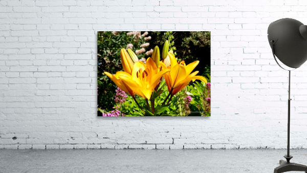 Bursting Beauty Wall Preview