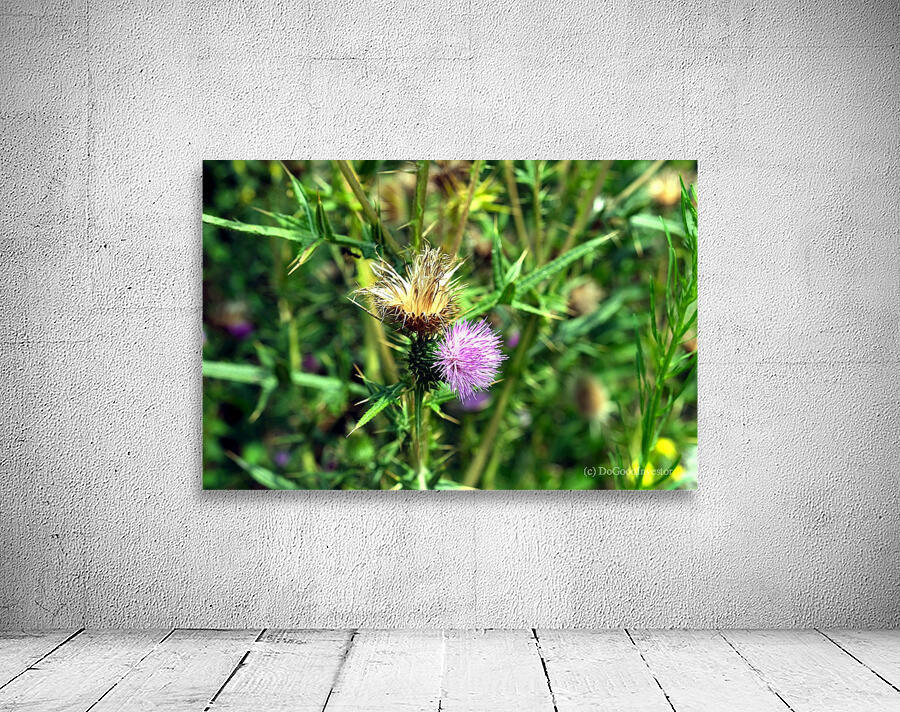 Thistle Be a Good Day Wall Preview