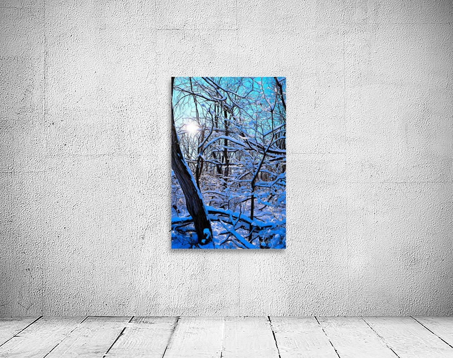 Frozen Limbs 3 Wall Preview