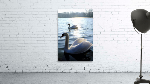 Wings of Love Pair 1B Wall Preview