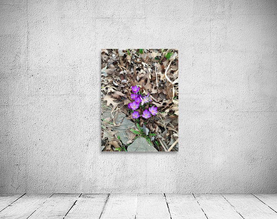 Petals of Renewal Wall Preview