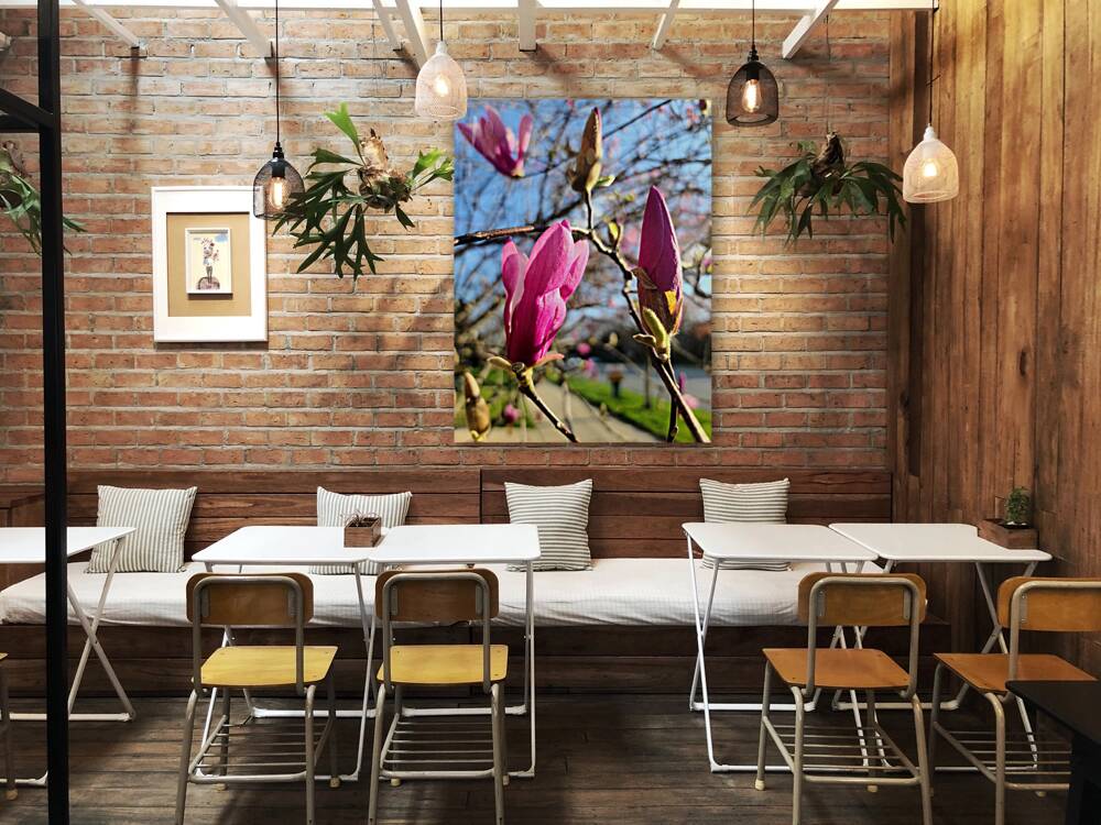 Buds of Hope and the Promise of Spring Reproduction